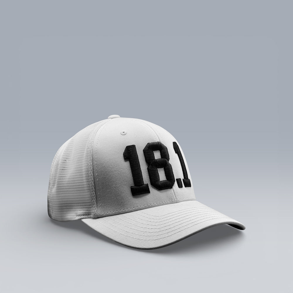 18.1 Big Trucker Demo