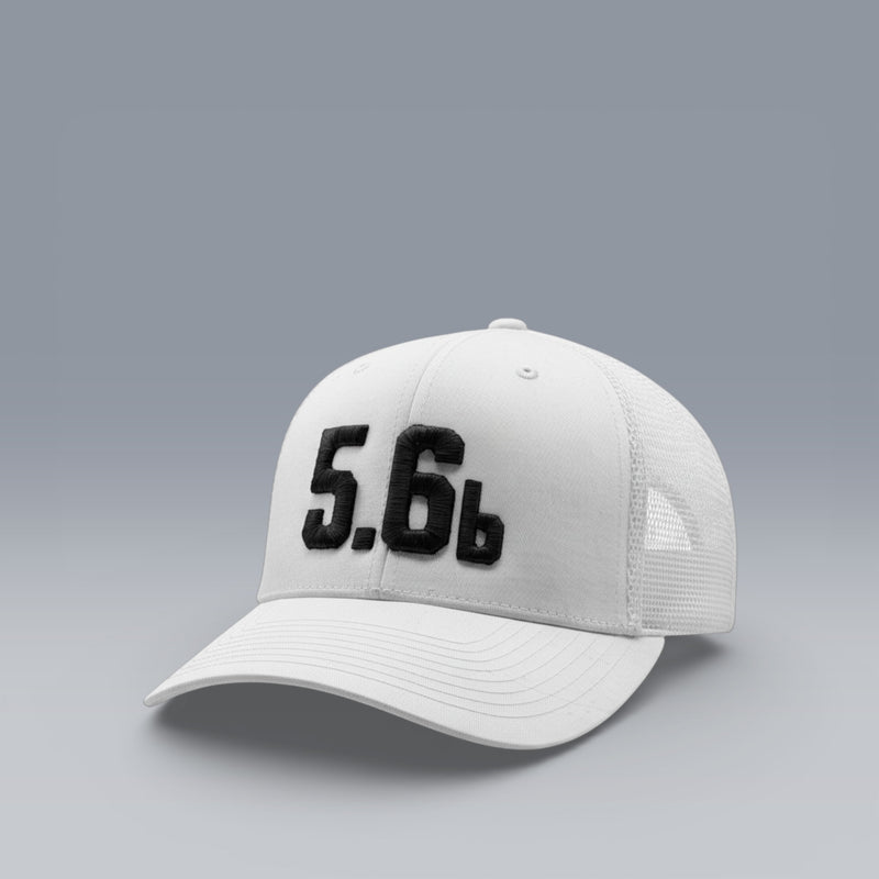 5.6b Big Trucker Demo